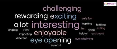 Impact research word cloud