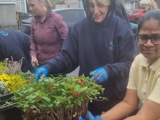 Three women busy potting a green and red plant