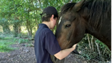 Someone petting a horse.  