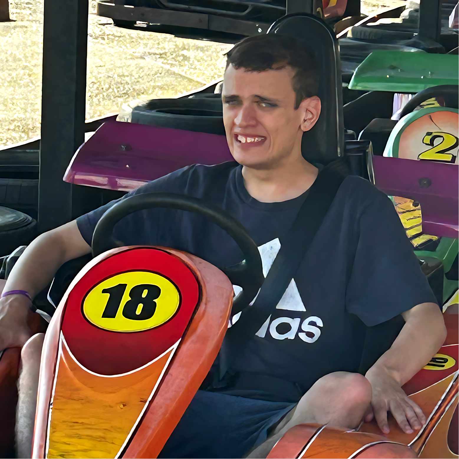 An image picturing DS at the dodgems.